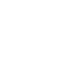 whyIcon1